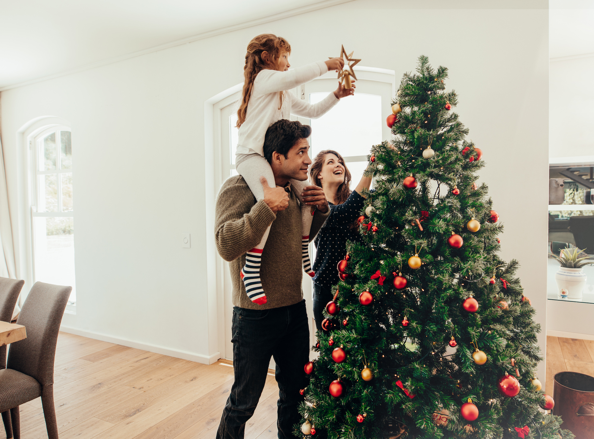 Christmas-Tree-Stock-Photo