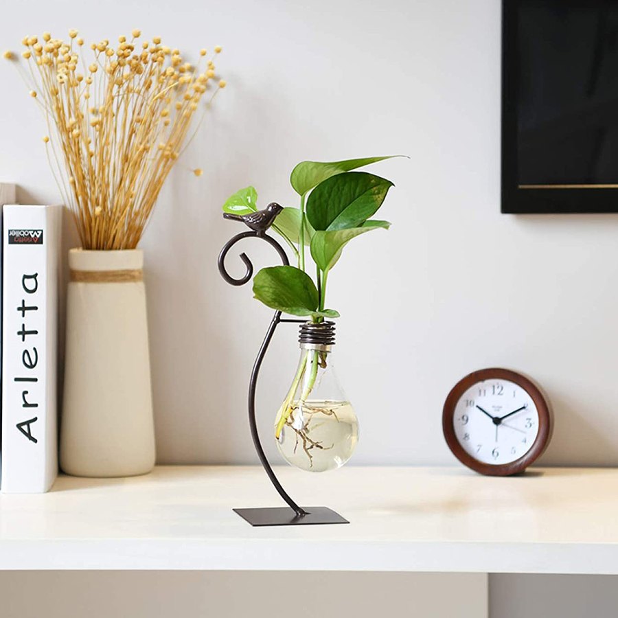 impressive-gifts-amazon-lightbulb-planter