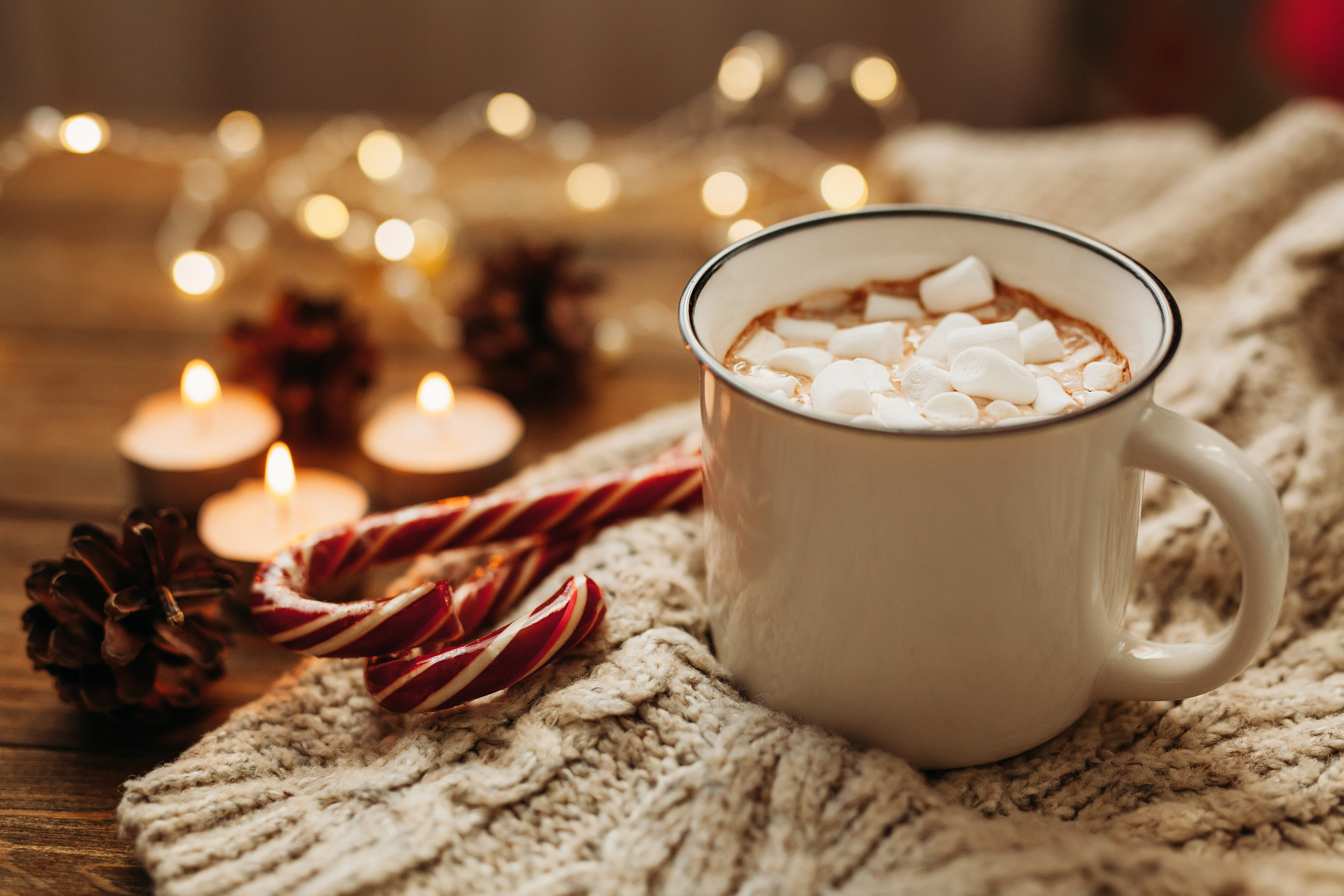 cozy holiday decor