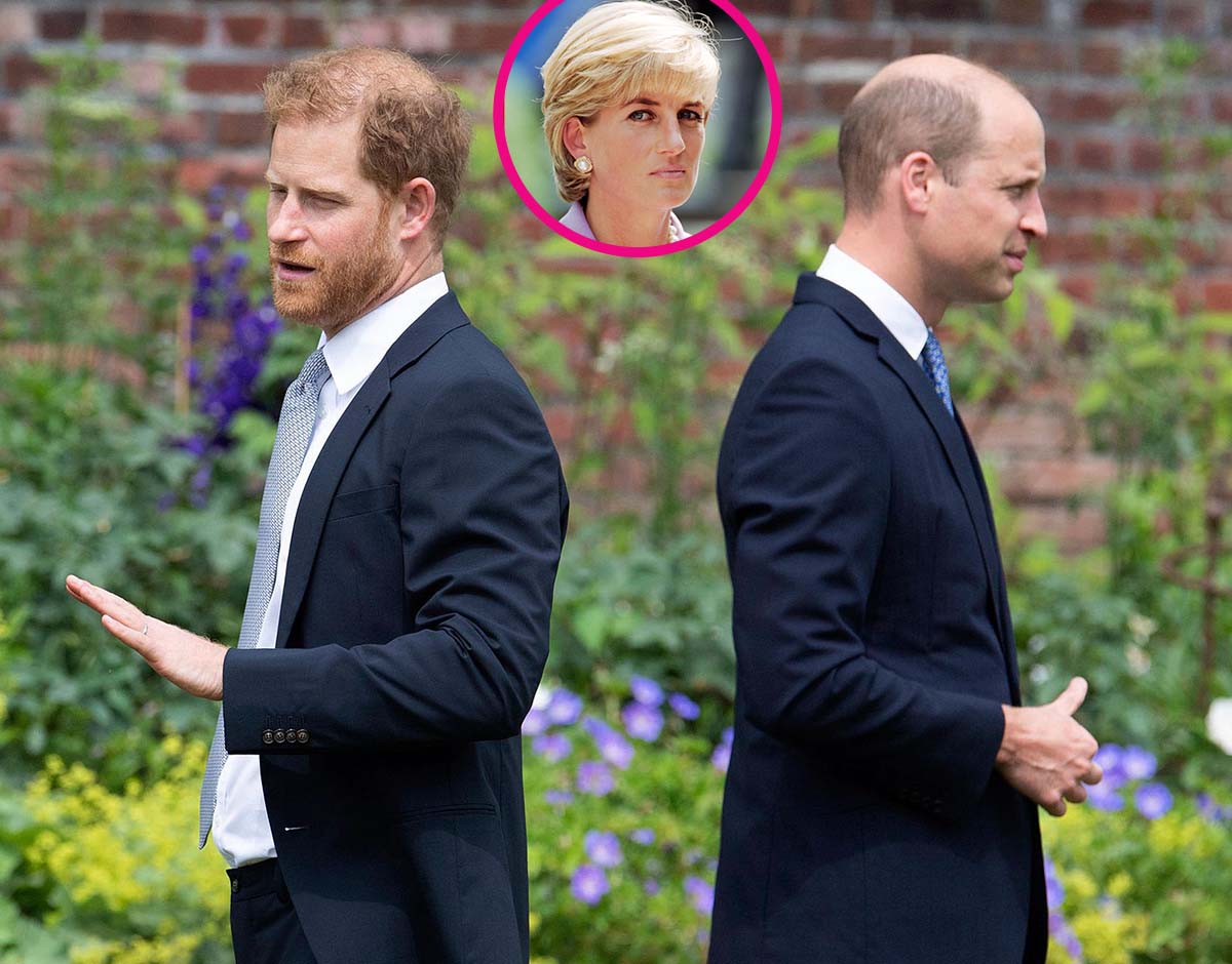 Harry Rift William Diana Alive