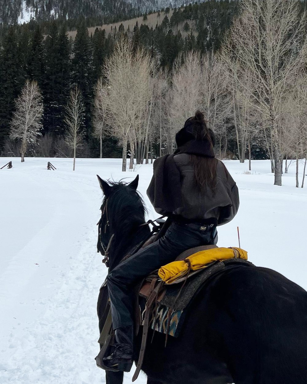 Kendall Jenner Looks Chic While Riding a Horse Through the Snow