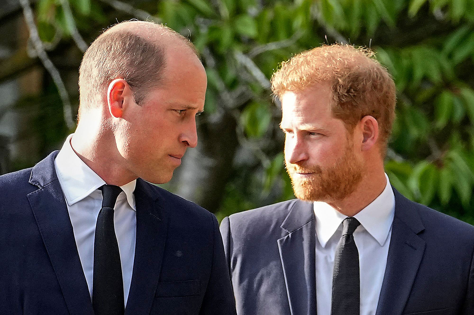 Prince William Prince Harry Prince Harry Book