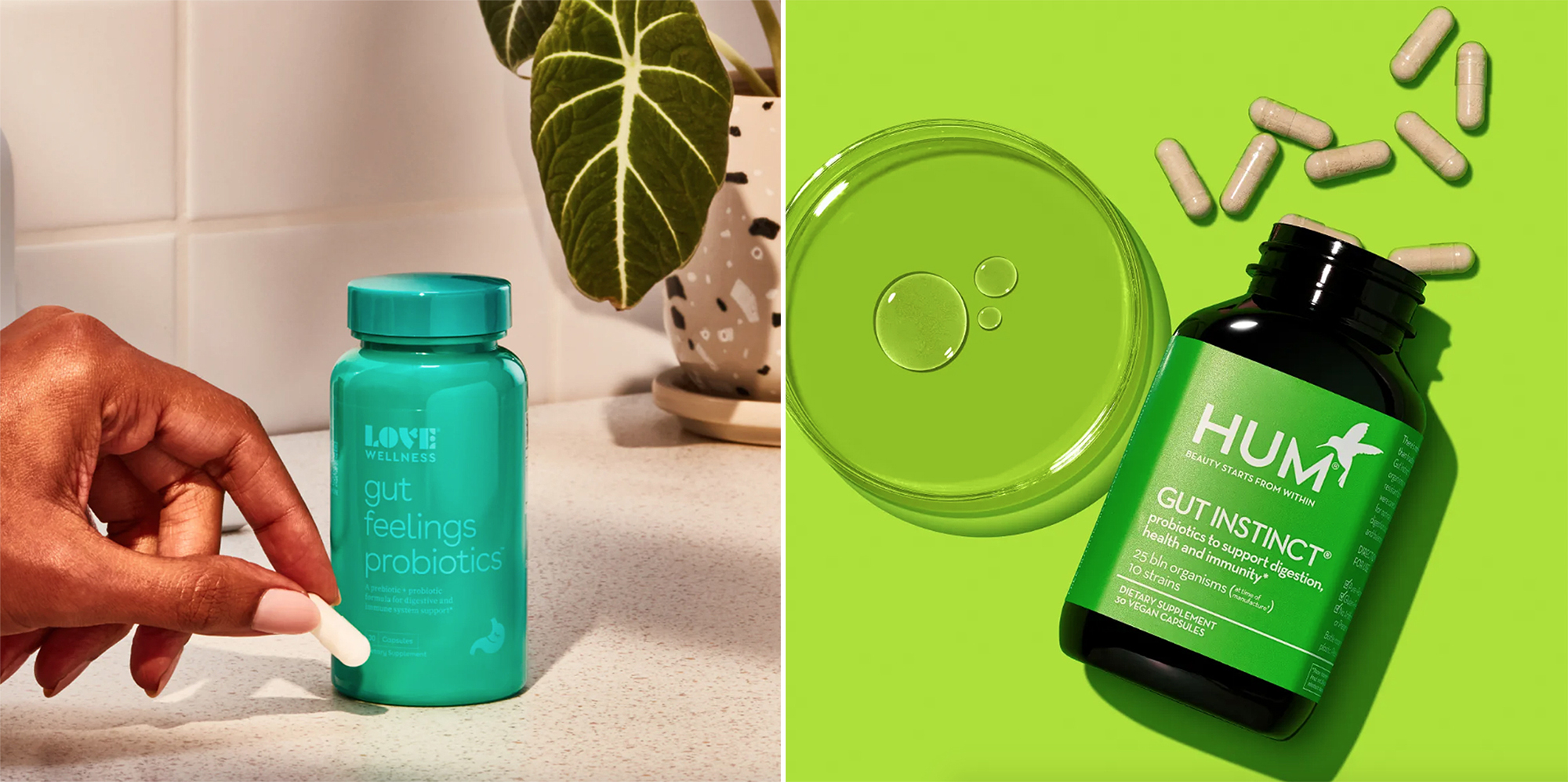 best-probiotic-supplements-weight-loss