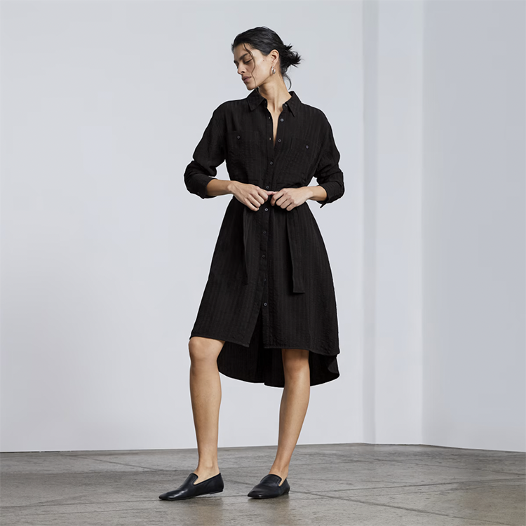 Everlane shirt dress