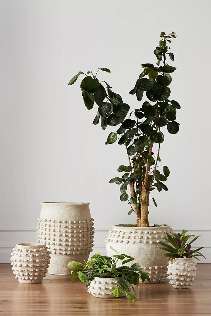 pot-anthropologie