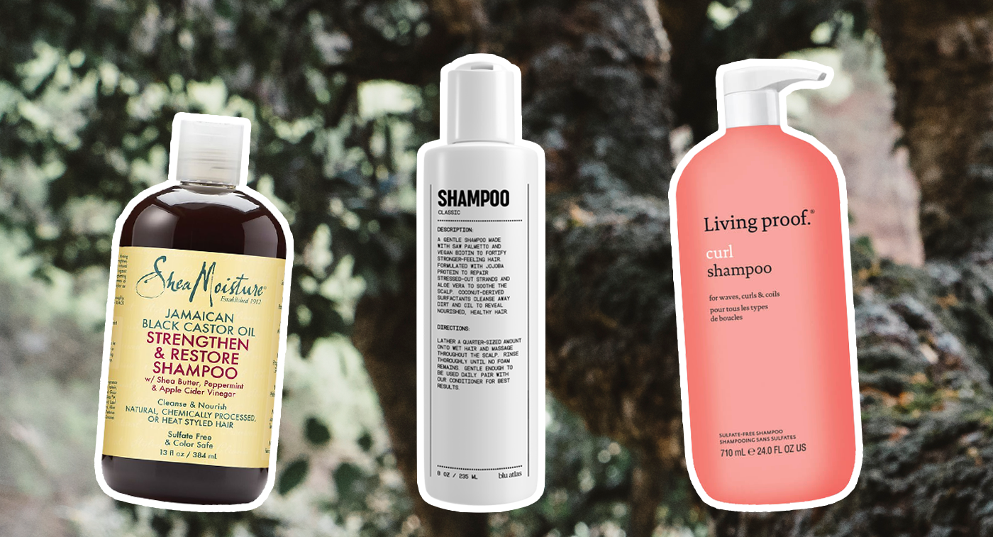 Curly Hair Shampoo Main Image