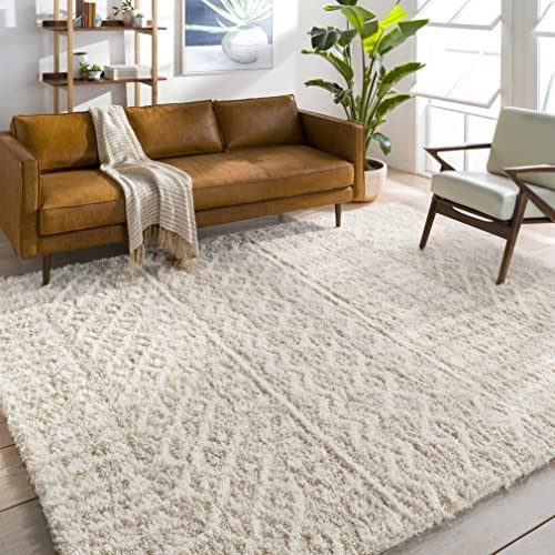Artistic Weavers Hapsburg Moroccan Shag Area Rug, 2'7" x 5', Beige