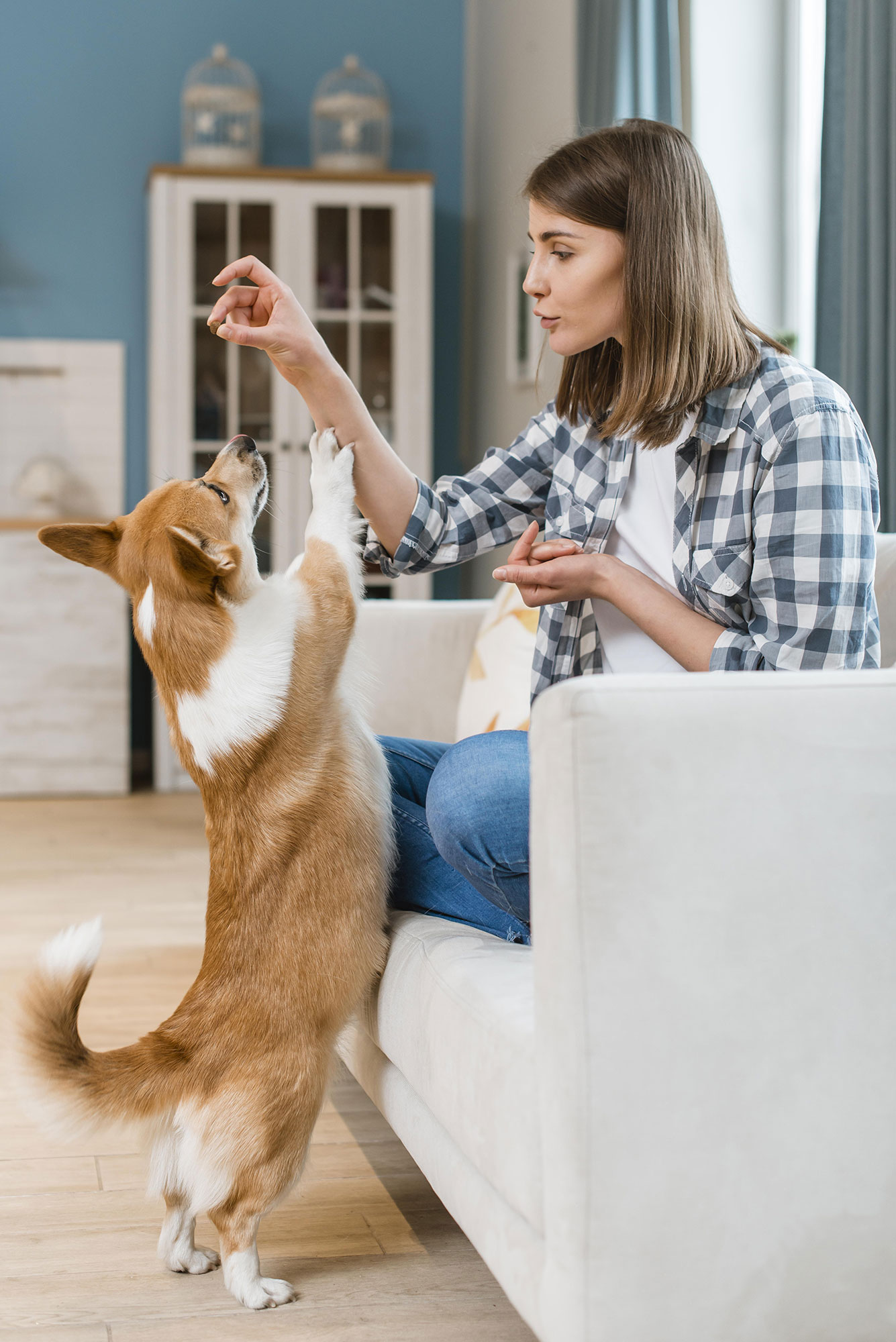 Best CBD For Dogs