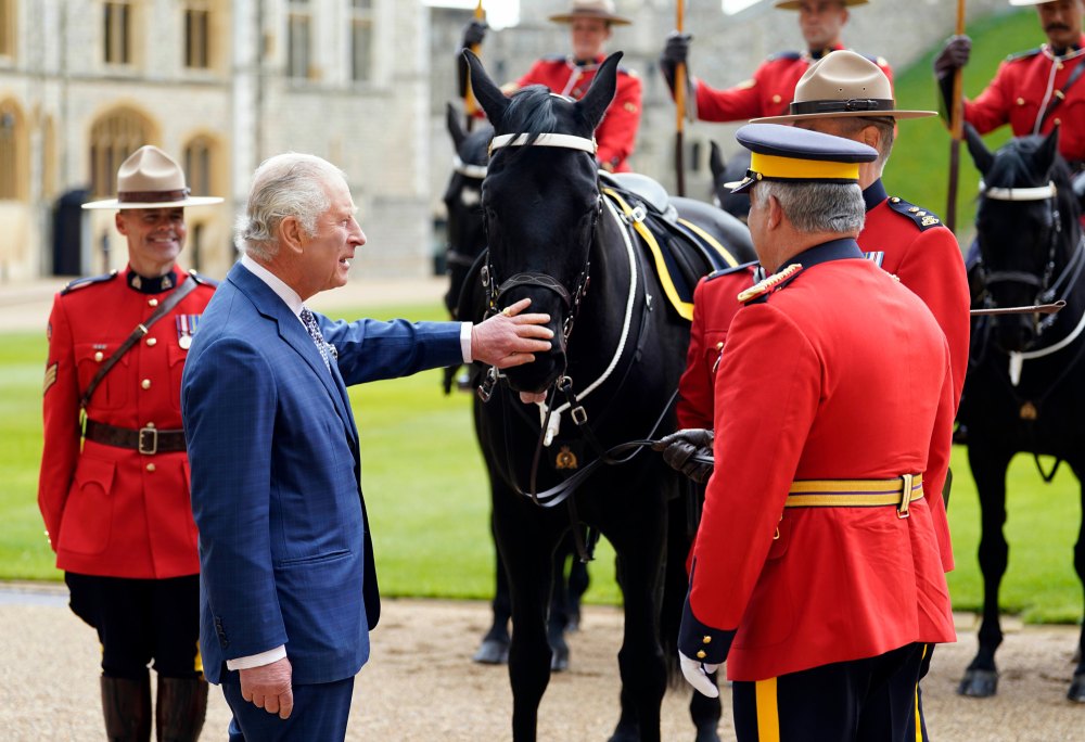 Meet King Charles IIIs 8 Royal Horses