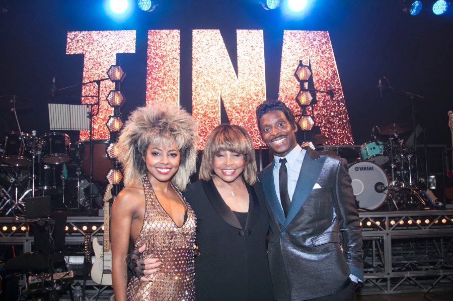 Tina Tuner Through the Years