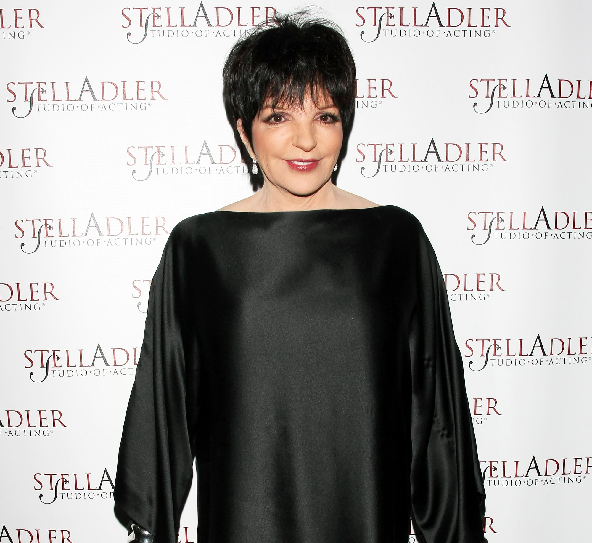 25-Things-You-Dont-Know-About-Me-Liza-Minnelli-2011