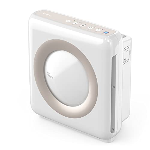 Coway Airmega Mighty True HEPA Air Purifier