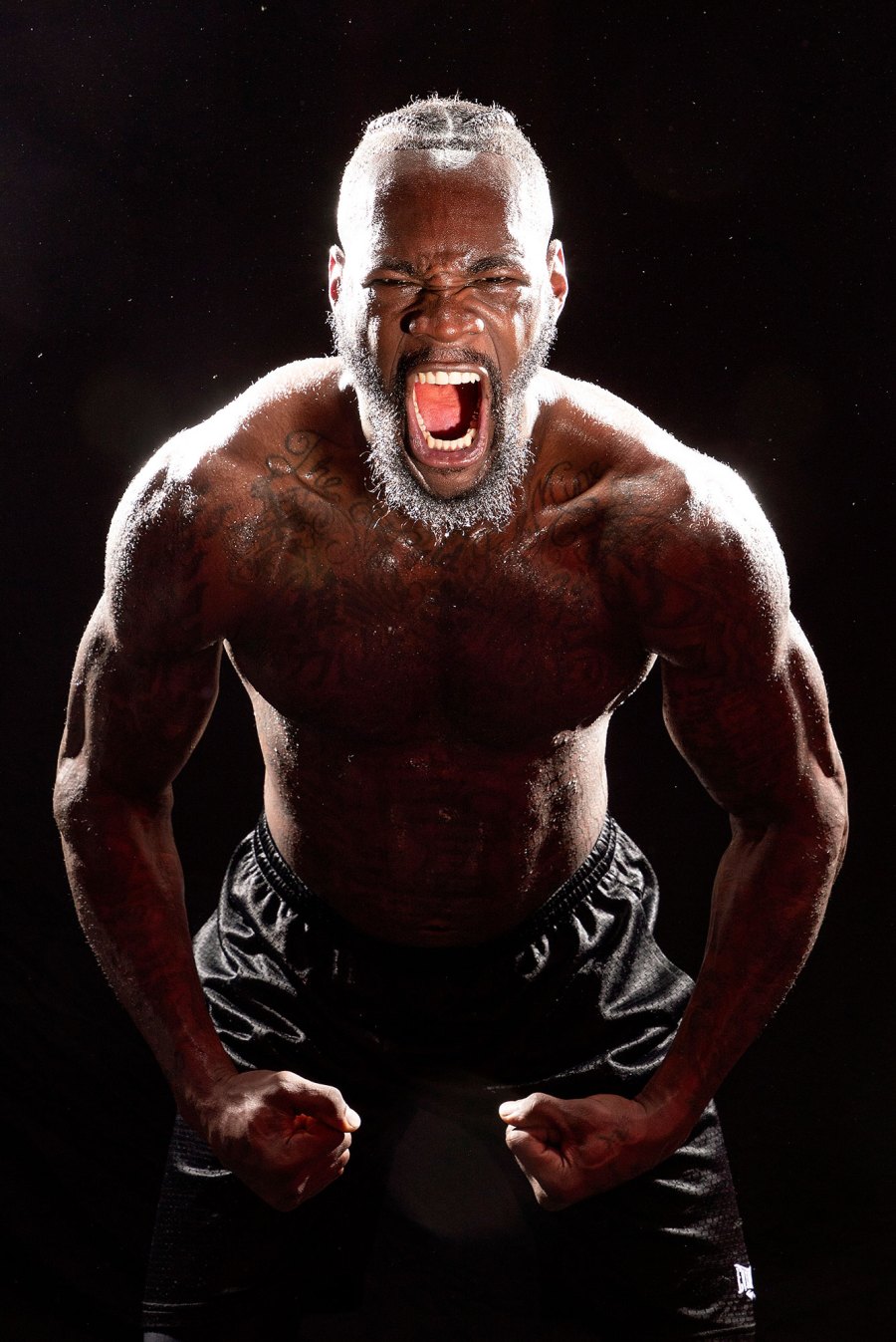 Deontay Wilder Traitors Season 2 Cast Reveals