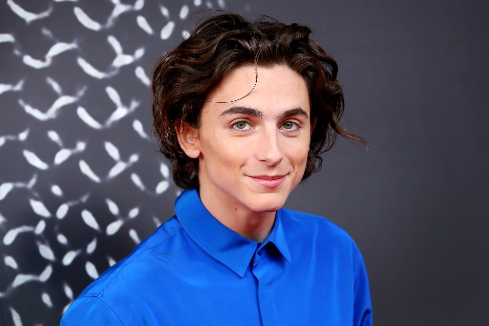 Timothée Chalamet Has a 'Beautiful Singing Voice' Like Bing Crosby, According To 'Wonka' Director