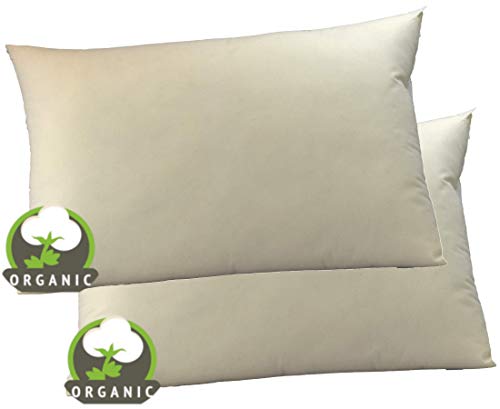 Best Soft: MoonRest Organic Natural Fabric Bed Sleeping Pillow, Pack of 2