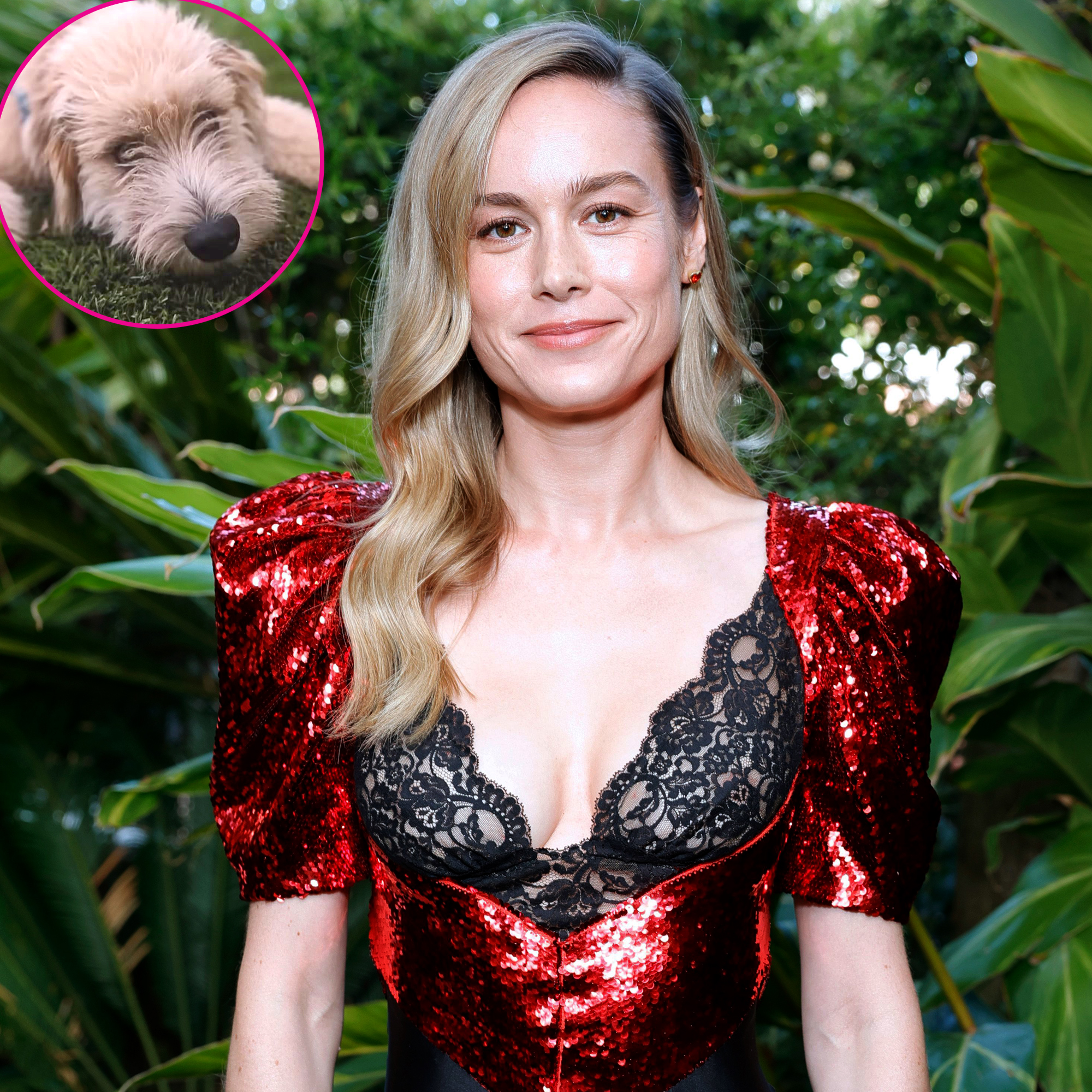 Brie Larson Reveals Rescue Dog Six-Thirty Chose His Own 'Riduculous' Name: 'His Vet Is Confused'