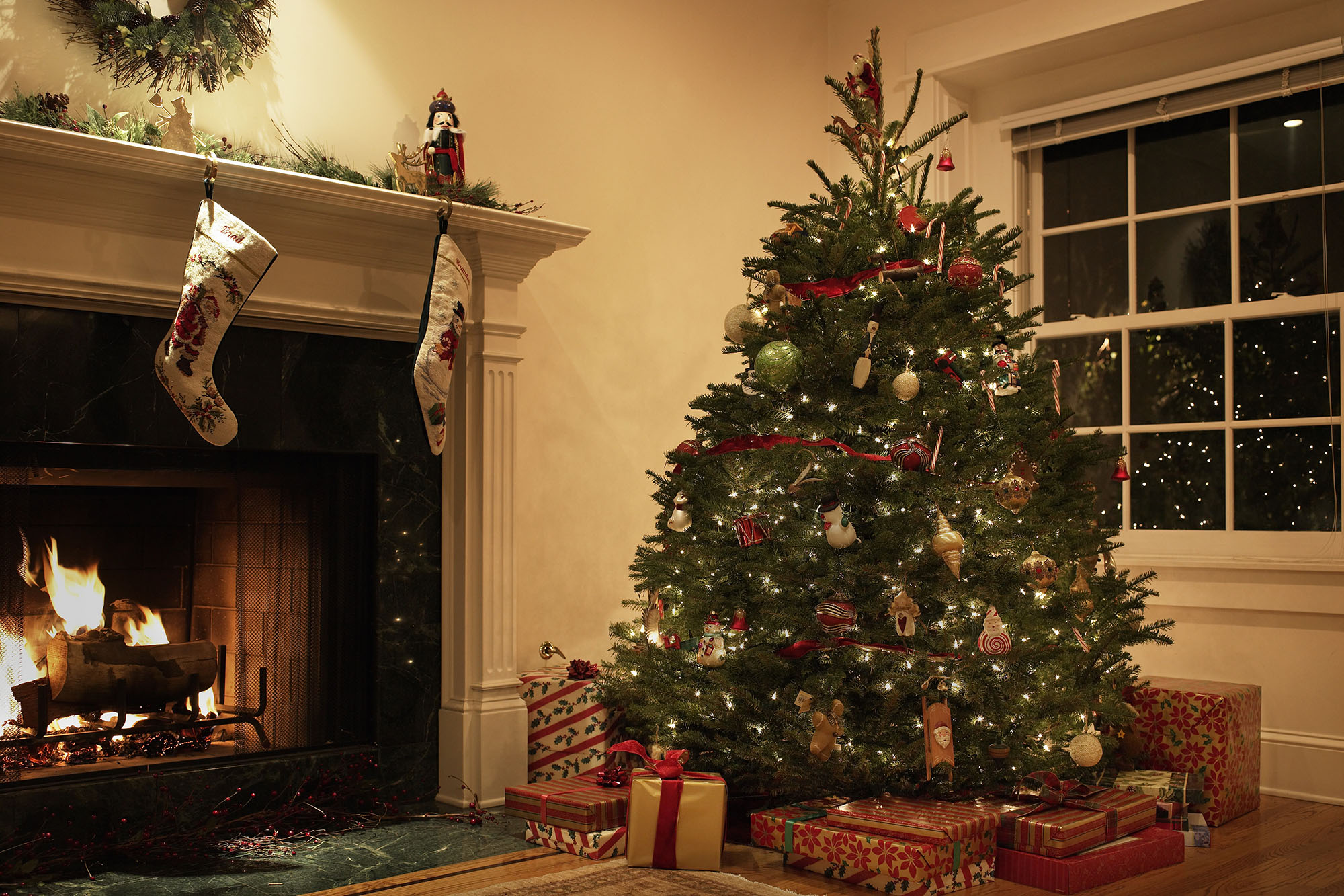 Christmas tree in living room