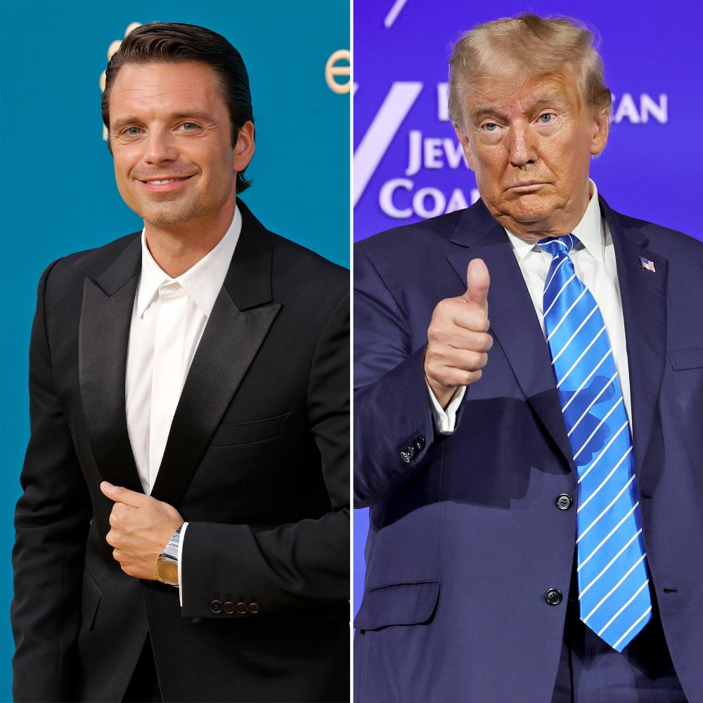 Sebastian Stan will star as a young Donald Trump