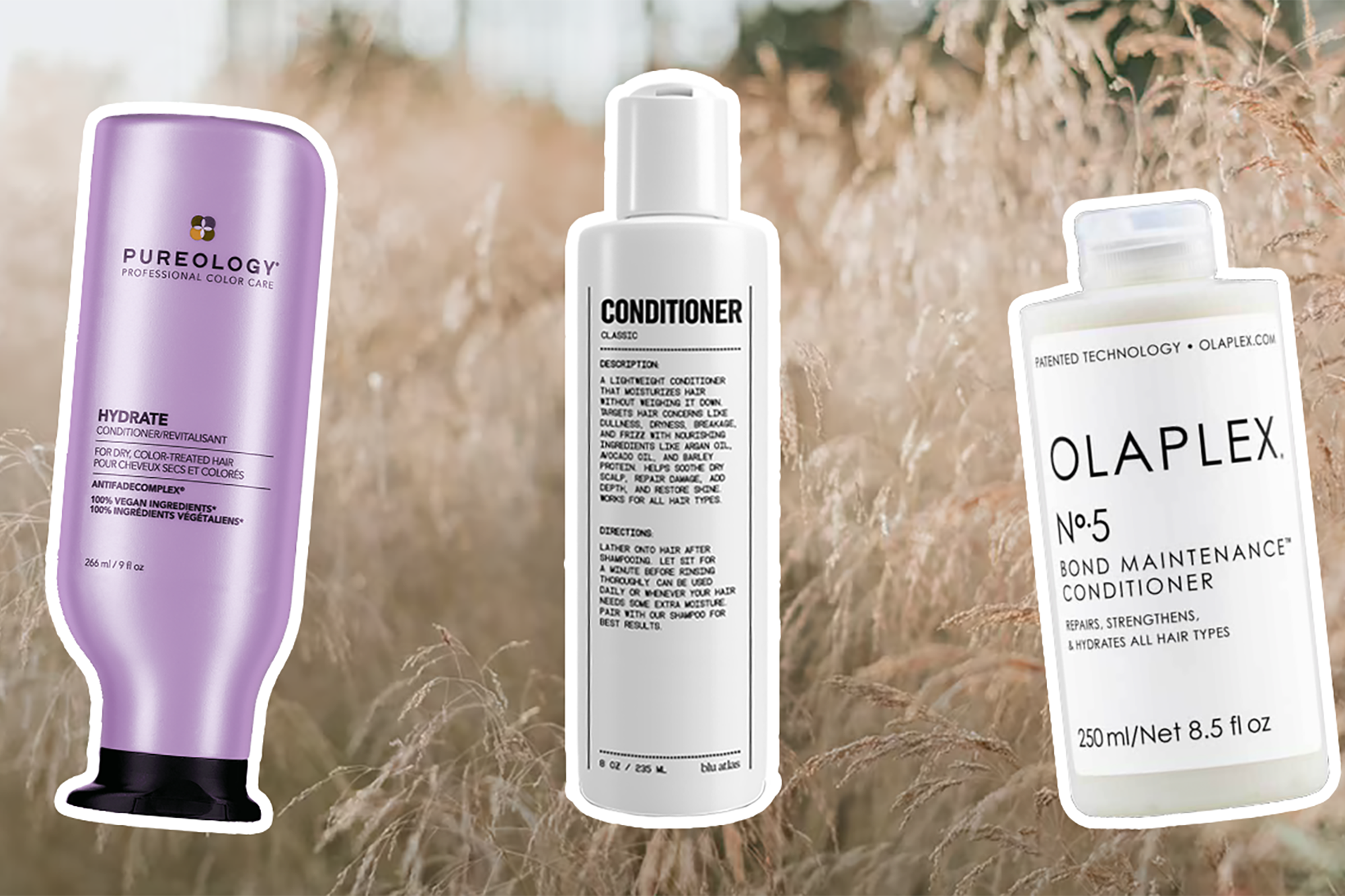 The 17 Best Conditioners of 2023