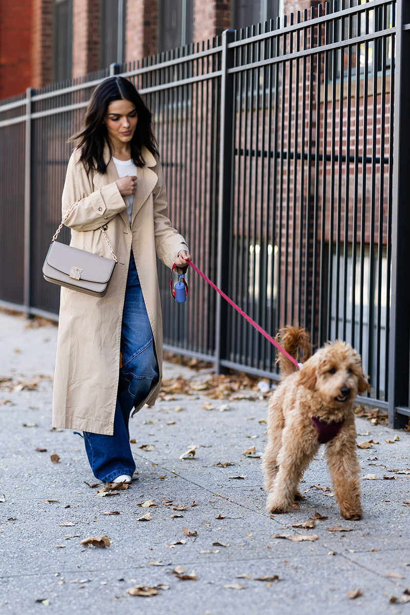 Rachel Zegler walking her dog in Long Island City on November 02, 2023.