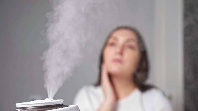 Best face steamer