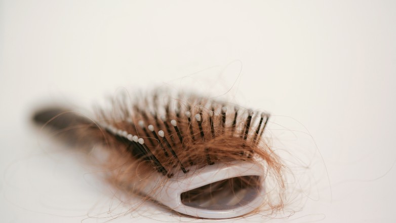 Best Hair Brushes