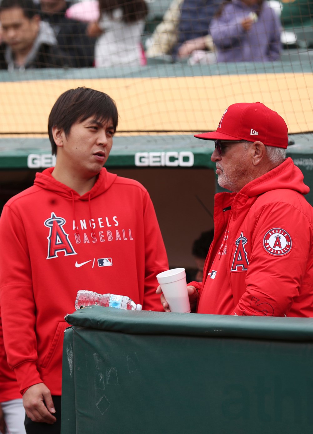 MLB Player Shohei Ohtani Translator Under Investigation