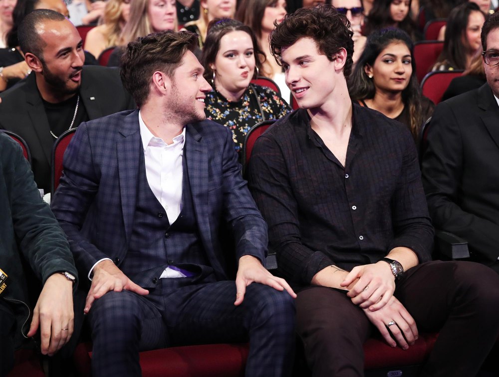 Niall Horan Surprises Fans by Bringing Out Shawn Mendes for Duet at London Concert