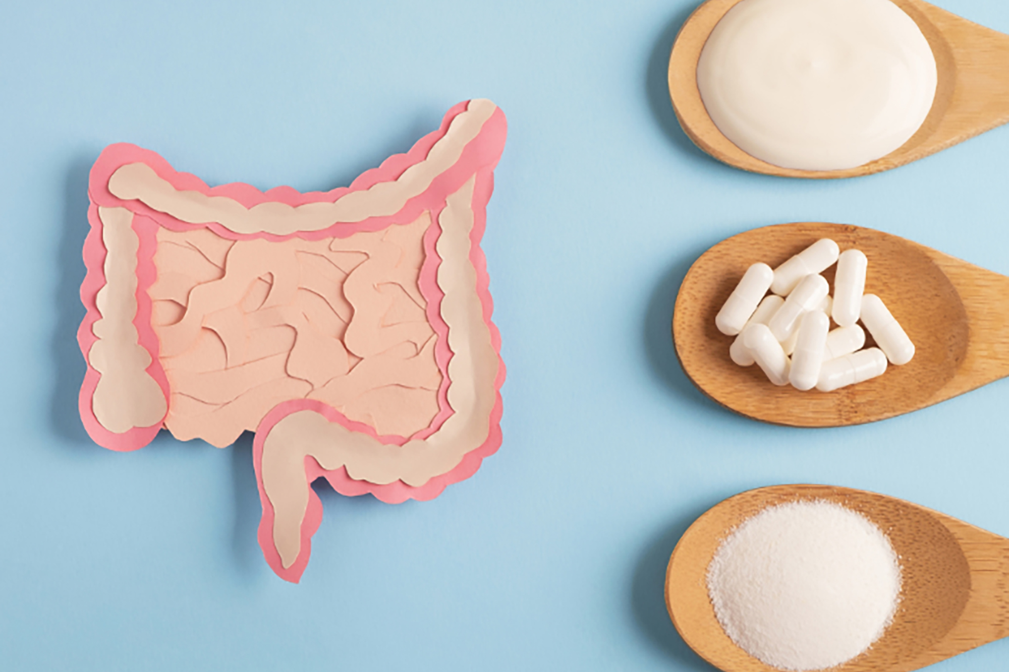 The Best Probiotics for Men