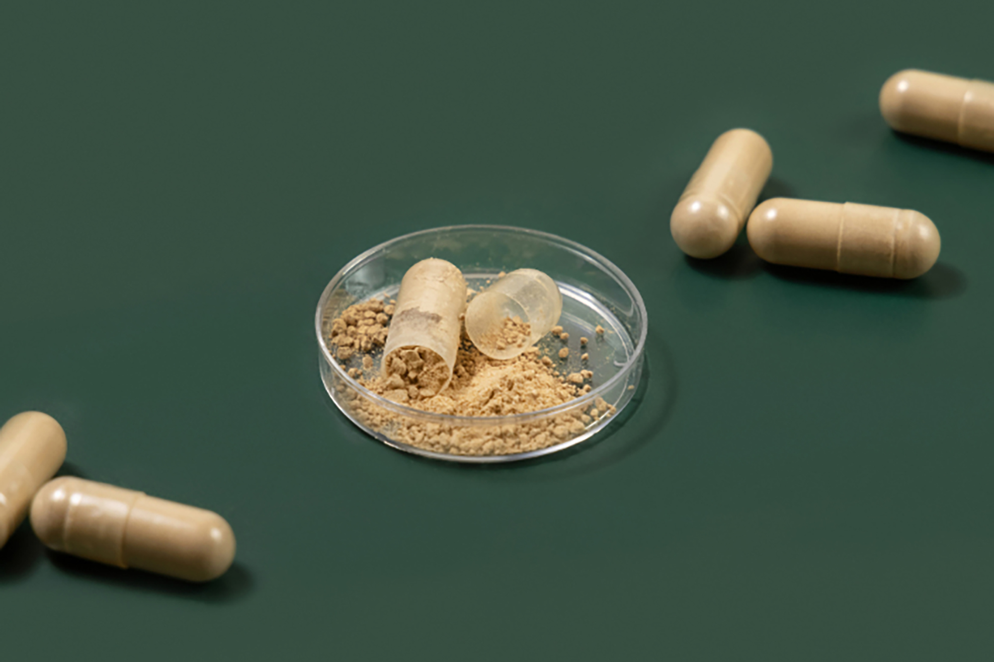 The Best Sea Moss Pills