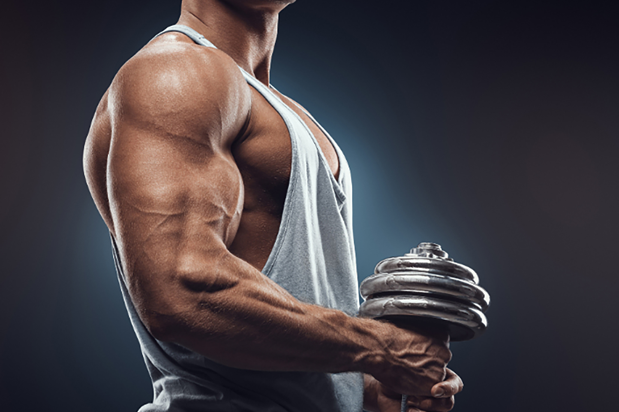 The Best Supplements for Building Muscle and Shredding Fat