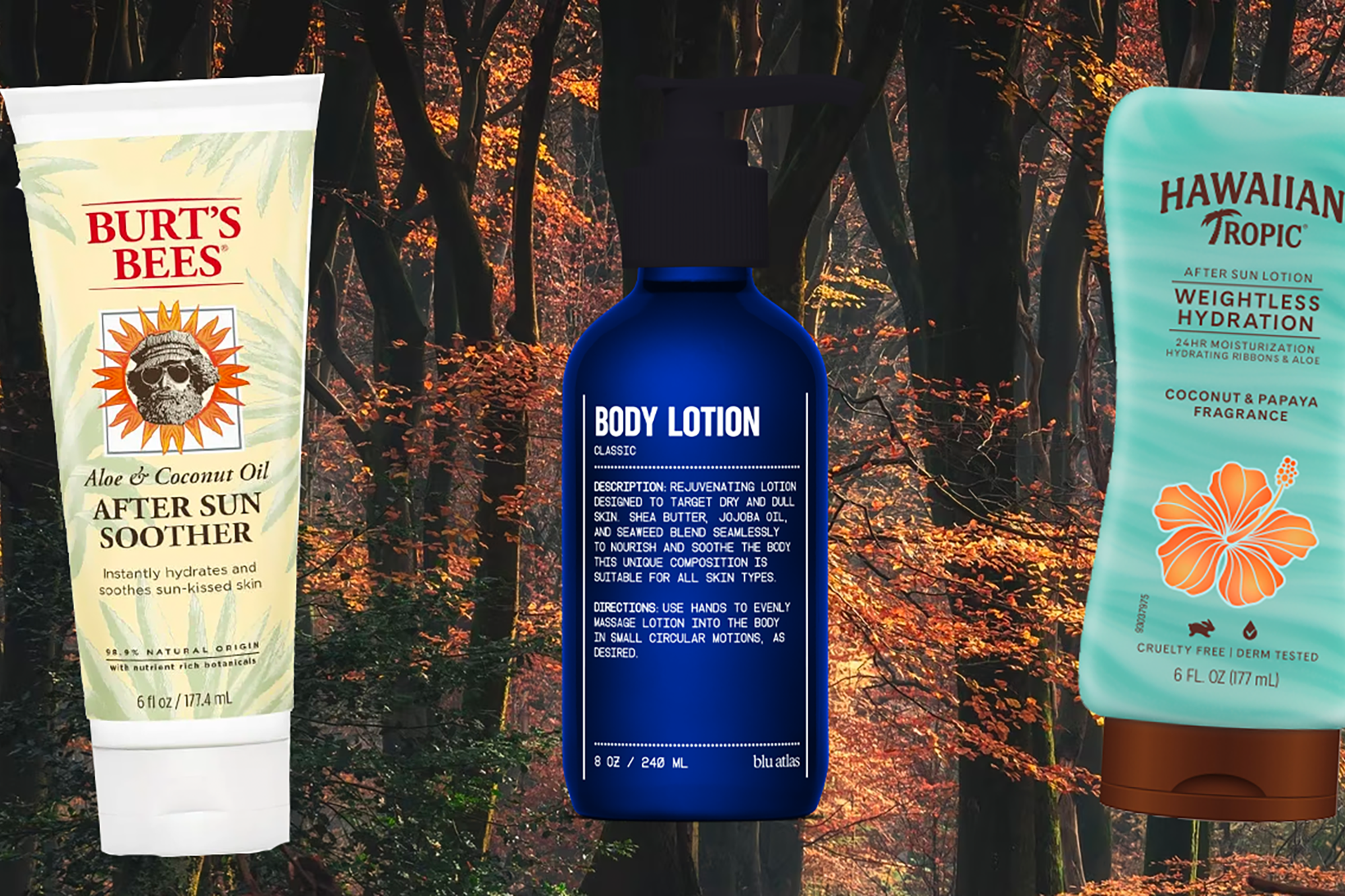 The 28 Best Lotions for Sunburn in 2024