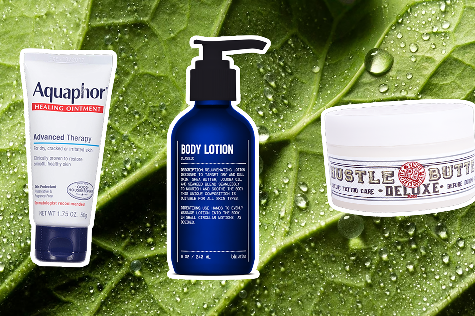 The 23 Best Tattoo Lotions in 2024