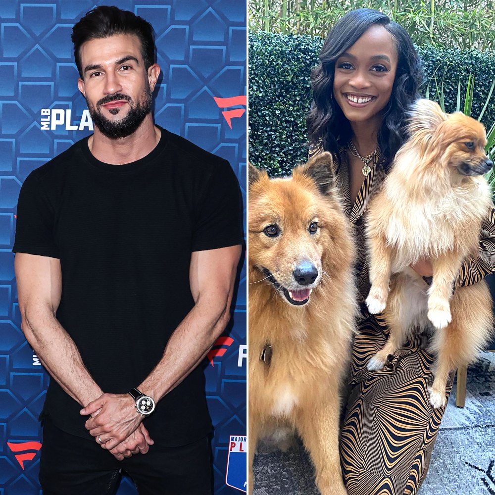 Bryan Abasolo Walks Rachel Lindsay’s Dogs After Claiming Living Arrangement Is ‘Strained’