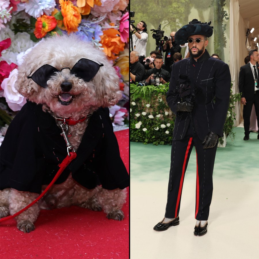 The Best Met Gala Recreations at the Pet Gala 328 Bad Bunny