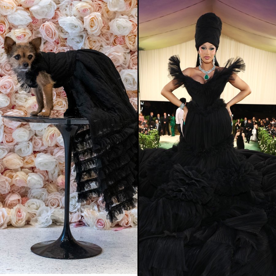 The Best Met Gala Recreations at the Pet Gala 329