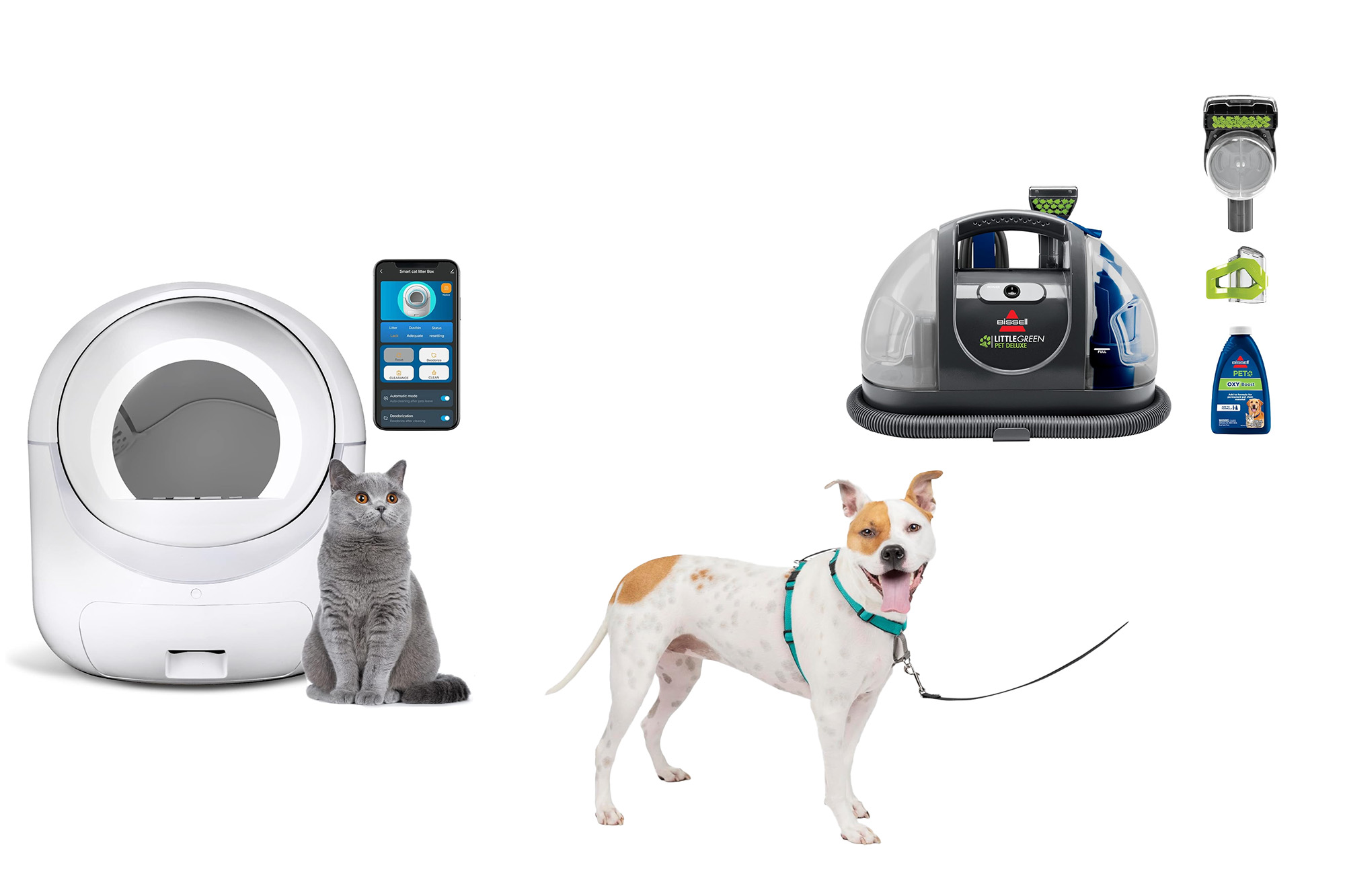 amazon early pet deals
