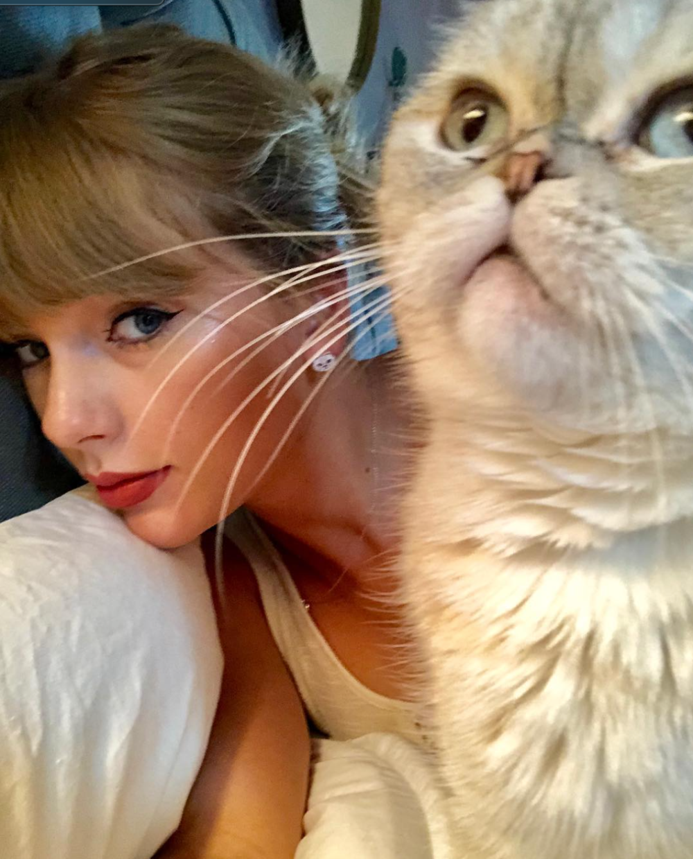 La guía de Taylor Swift para tomar la selfie perfecta: 6 consejos para probar