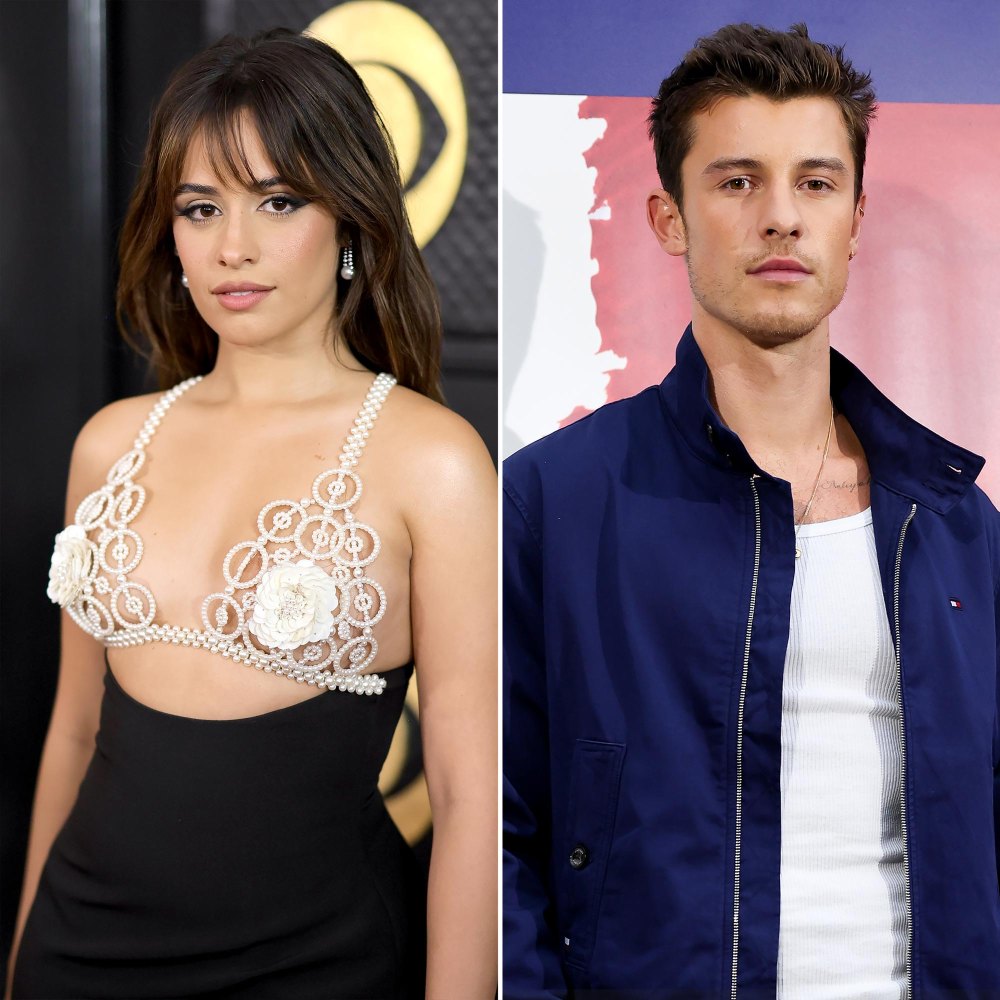 Camila Cabello and Shawn Mendes 'Are Not Dating' Despite Attempts to 'Make It Work'