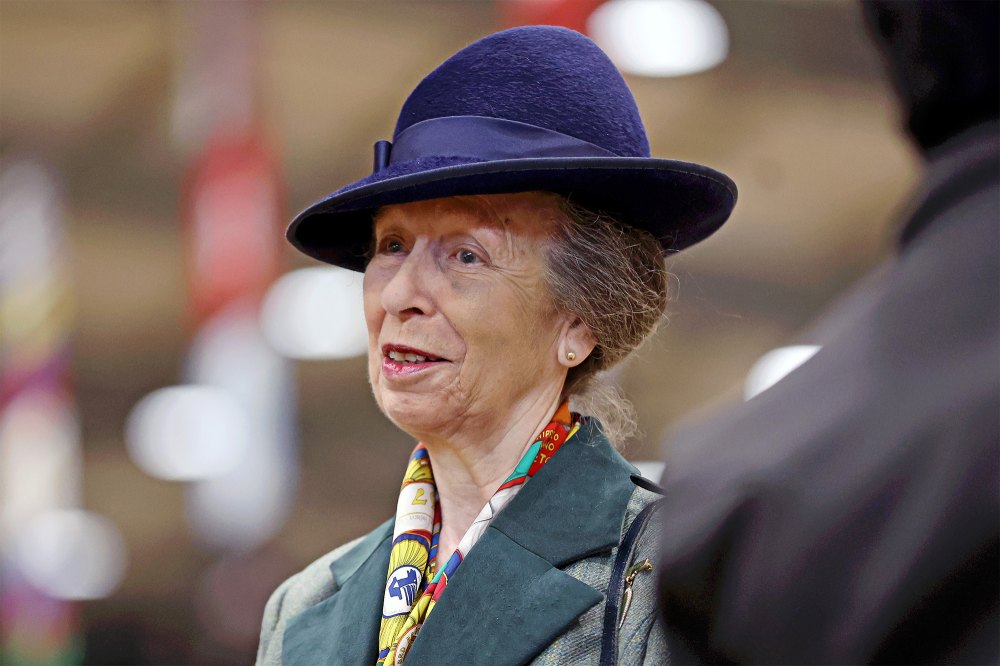 Princess Anne Back to Work After Hospitalization