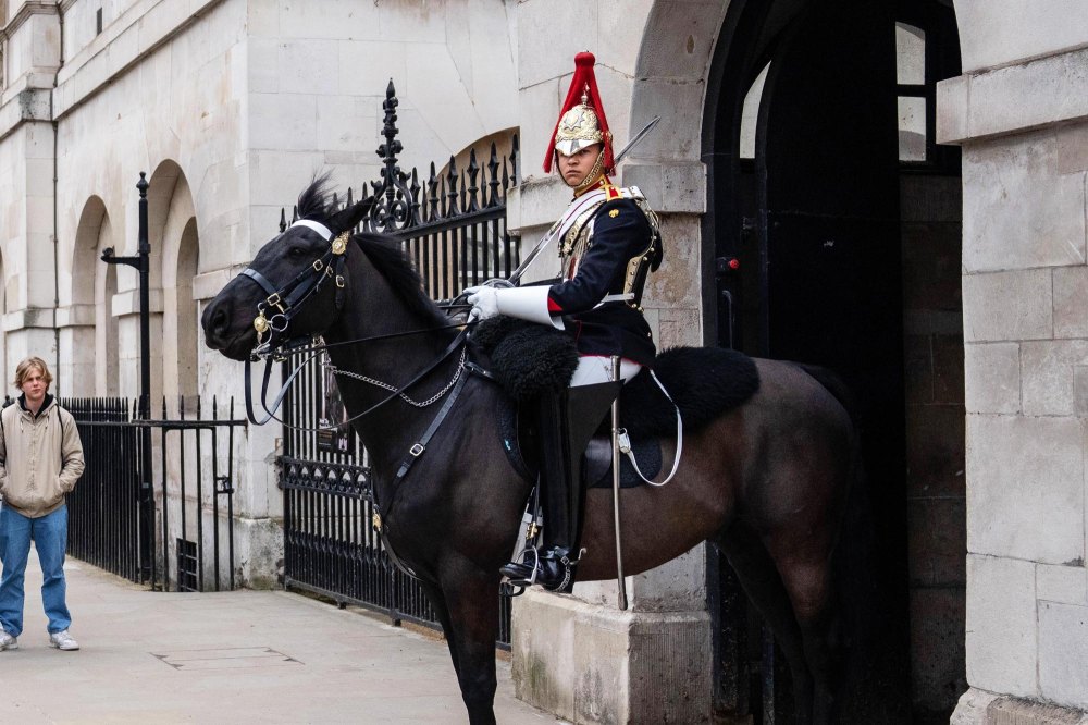 Royal Horse Bites a Lady