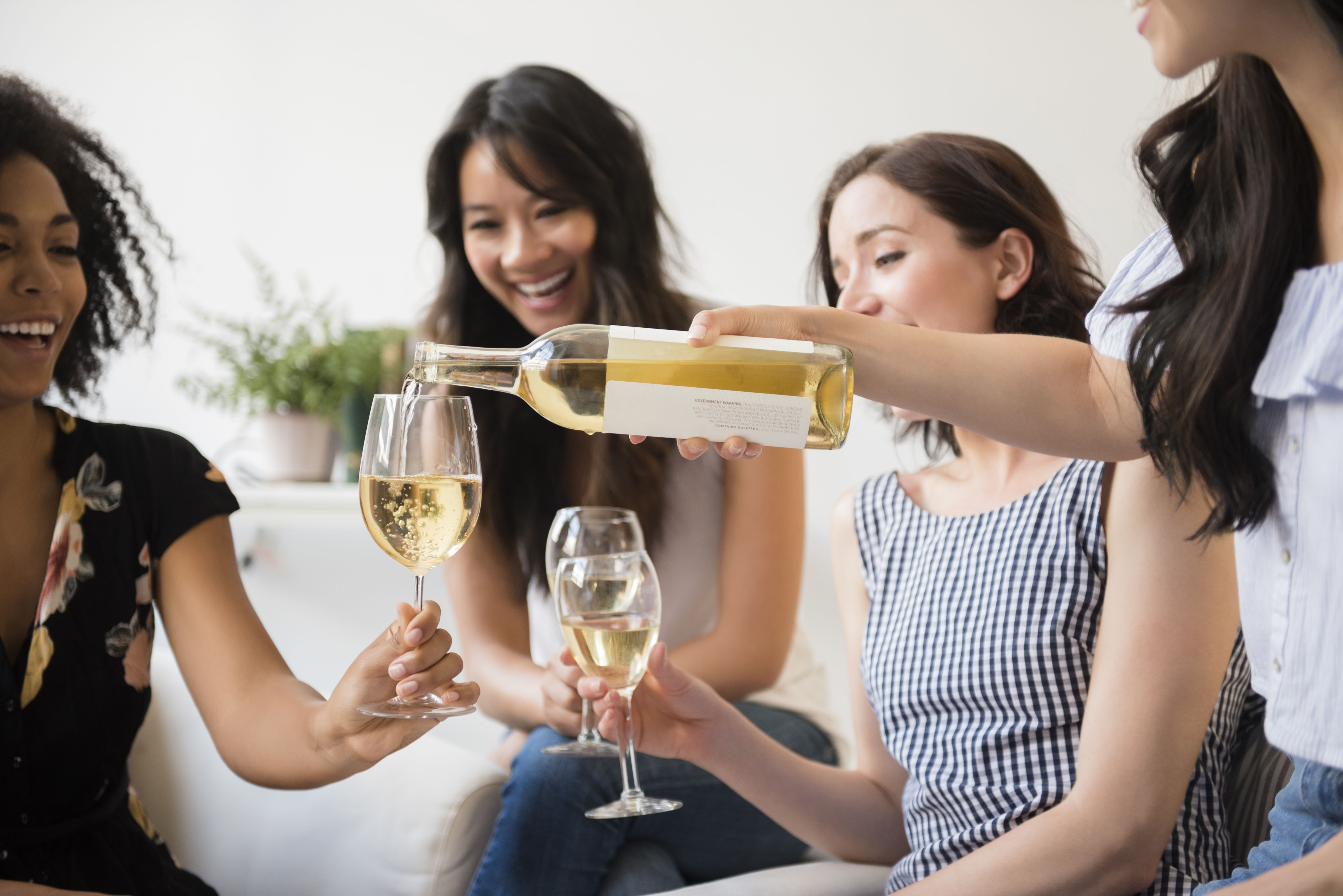 wine