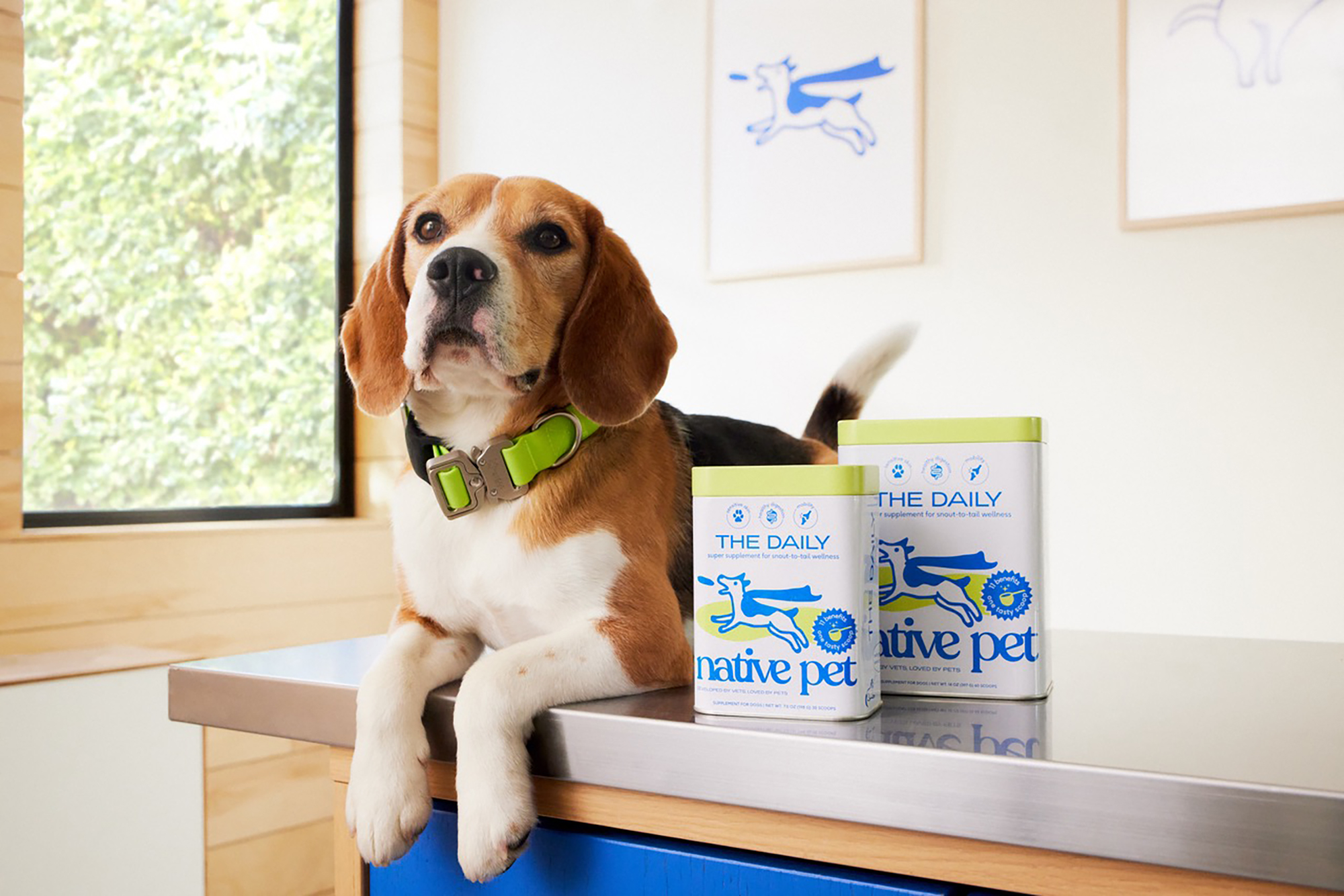 native-pet-dogust-sale