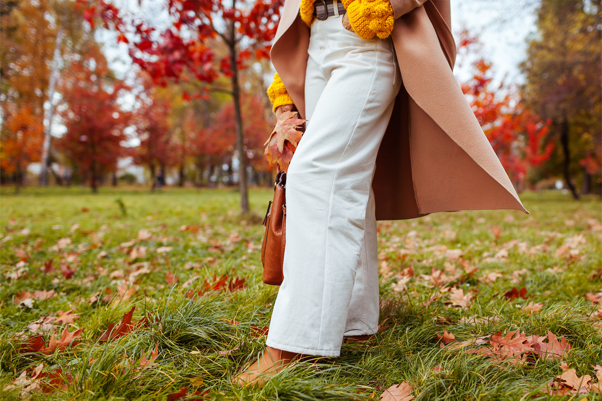 work-appropriate fashion finds