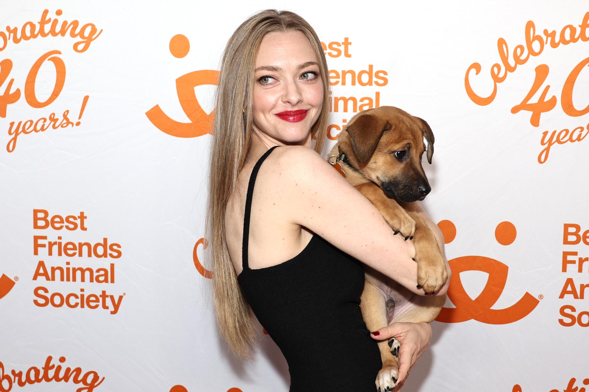 Amanda Seyfried Always Takes In Injured Animals on Her Farm