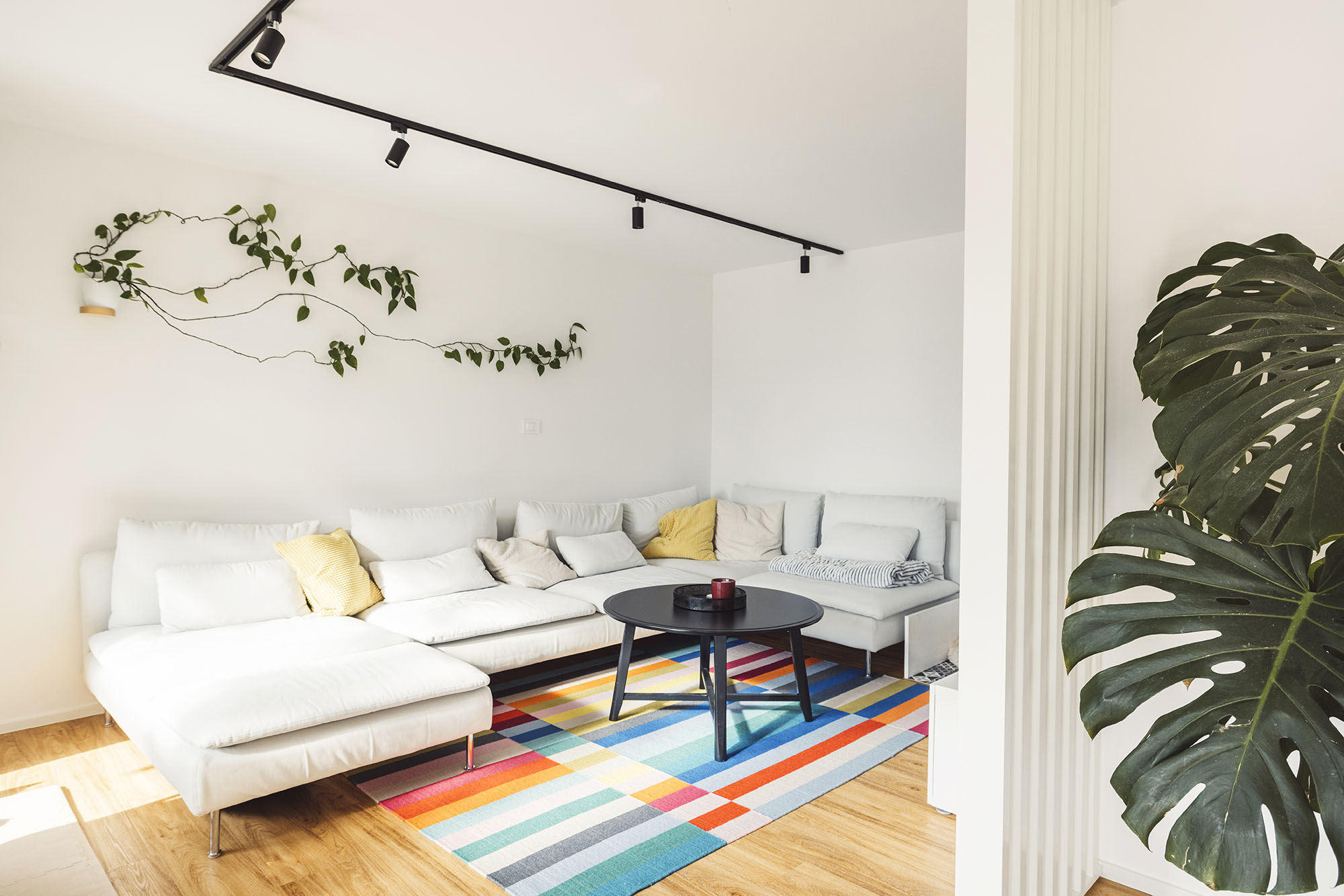 colorful rug in living room