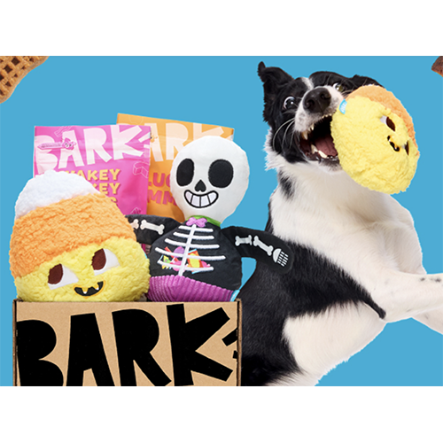 BarkBox Dog Toy Subscription