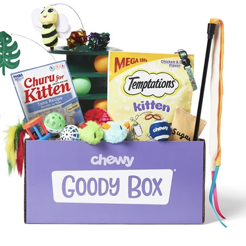 Chewy Goodie Box for Kittens