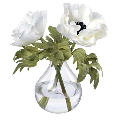 Ashley Stark Home Anemones in Glass Vase