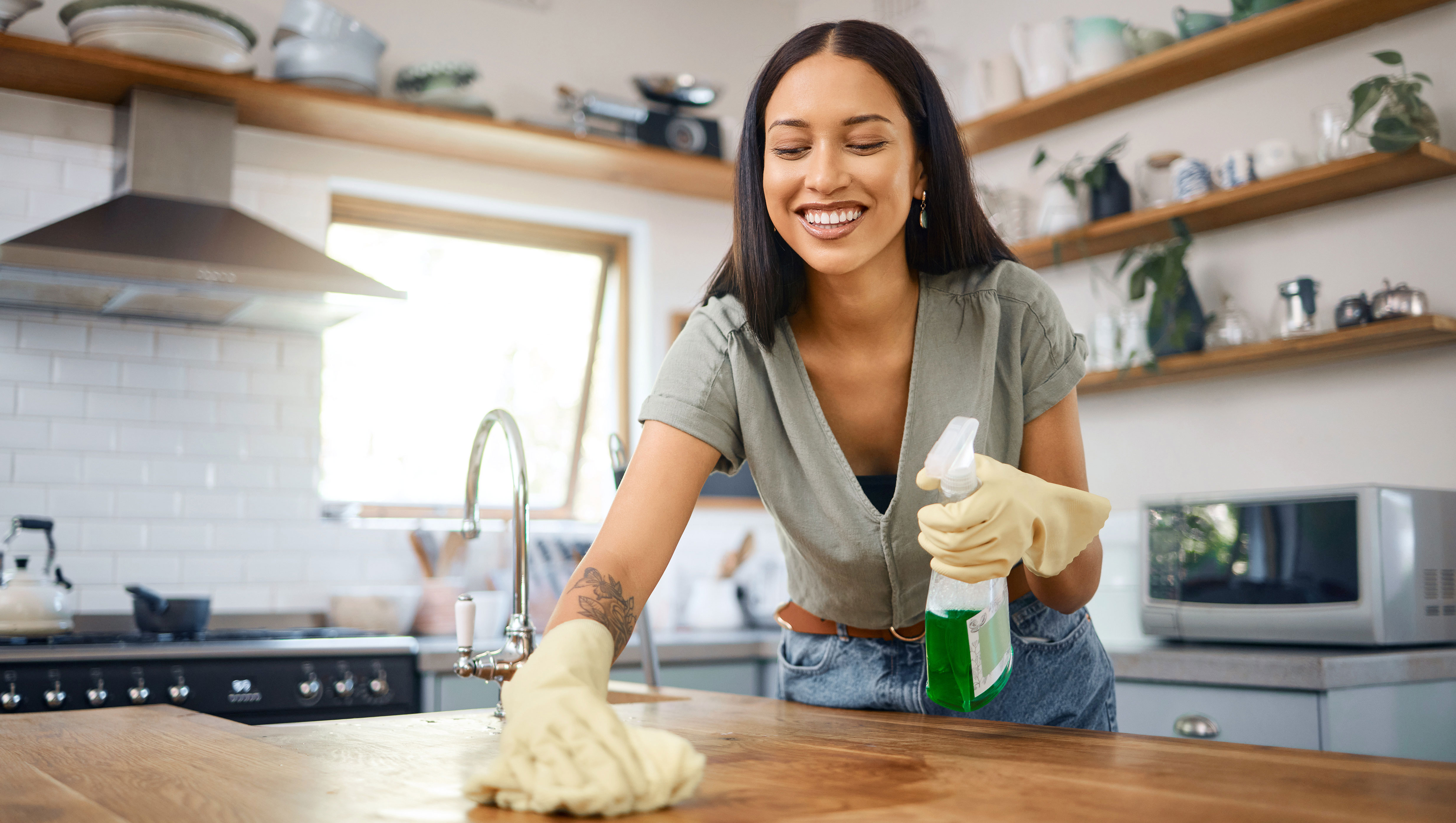Non-Toxic-Household-Swaps